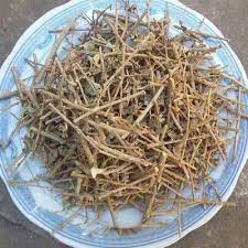 ☑️1KG Cà gai leo khô