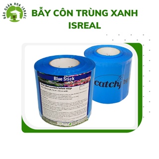 Keo Bẫy Bọ Trĩ nhập khẩu Israel dùng bẫy bọ trĩ và côn trùng khác hiệu quả trong nông nghiệp làm vườn