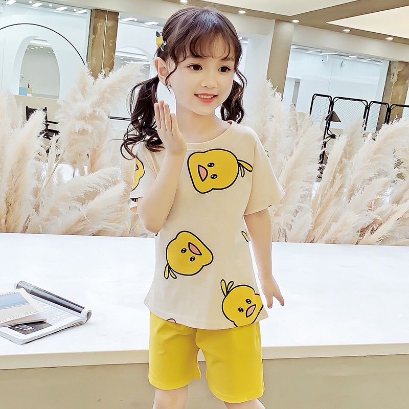 Bộ đồ thun cotton ngắn tay cho bé trai, bé gái đi học, đi chơi, mặc nhà hàng QCCC size đại từ 2-10 tuổi
