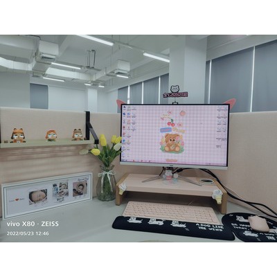 Tai mèo gắn màn hình máy tính