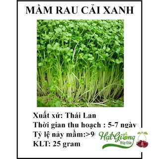 20 gram Hạt giống rau mầm cải xanh LINH NGOC