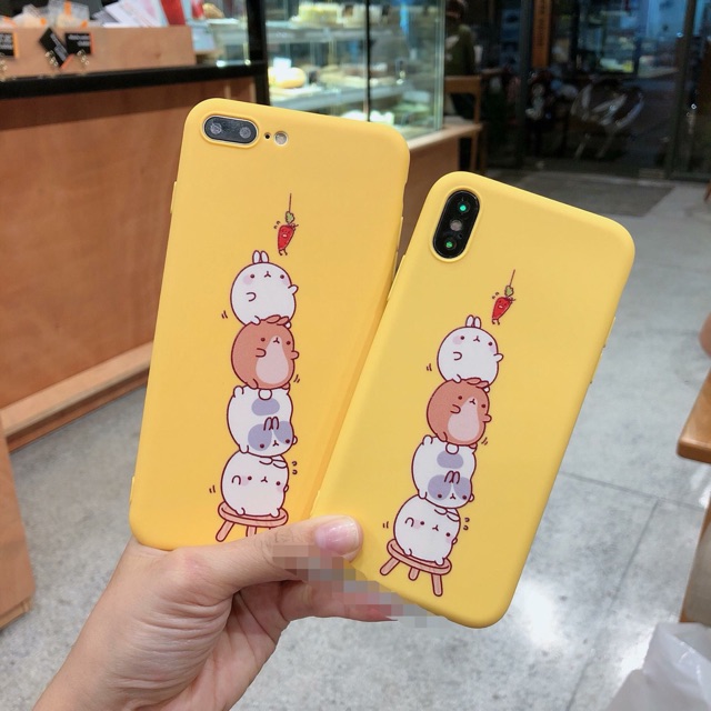 Ốp thỏ ăn cà rốt