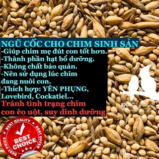 NGŨ CỐC DINH DƯỠNG CHO YẾN PHỤNG (TRONG GIAI ĐOẠN NUÔI CON) 1KG