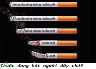 Cai thuốc lá THANH NGHỊ