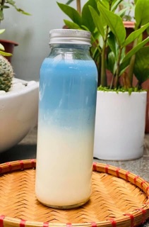 COMBO 10 Chai thuỷ tinh dáng thon 500ml nắp nhôm