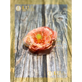 Đầu hoa tràm trà 9 - 10cm | LU