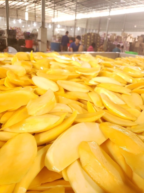 Xoài sấy dẻo xuất khẩu 150k/kg loại 1