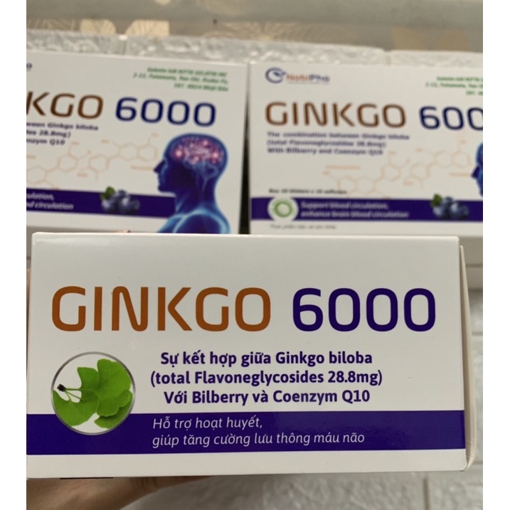 Hoạt huyết dưỡng não Ginkgo 6000- sự kết hợp giữa Ginkgo biloba với Bilberry và Coenzym Q10