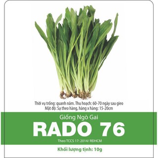 Hạt Giống Mùi Tàu/ Ngò Gai Rado 76  Dễ Trồng 10gr