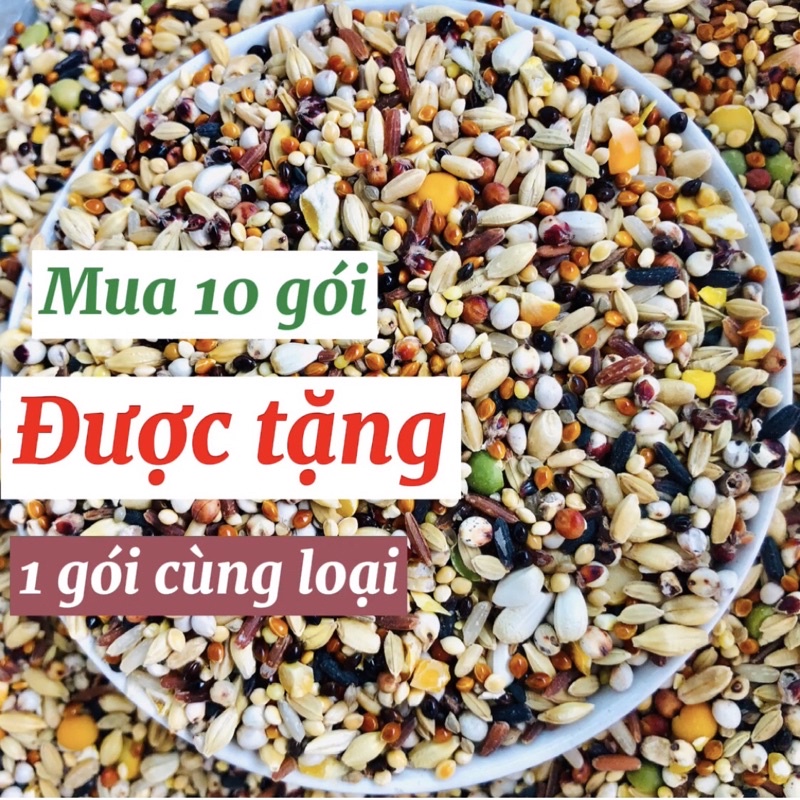 500gram thức ăn ngũ cốc chim cu gáy Javan 12 loại hạt