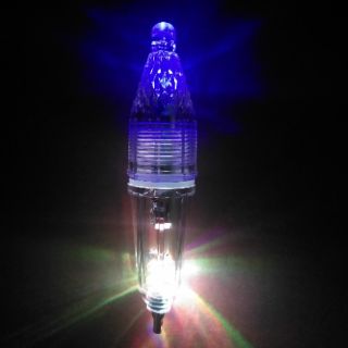 Đèn câu mực phát sáng 2 led