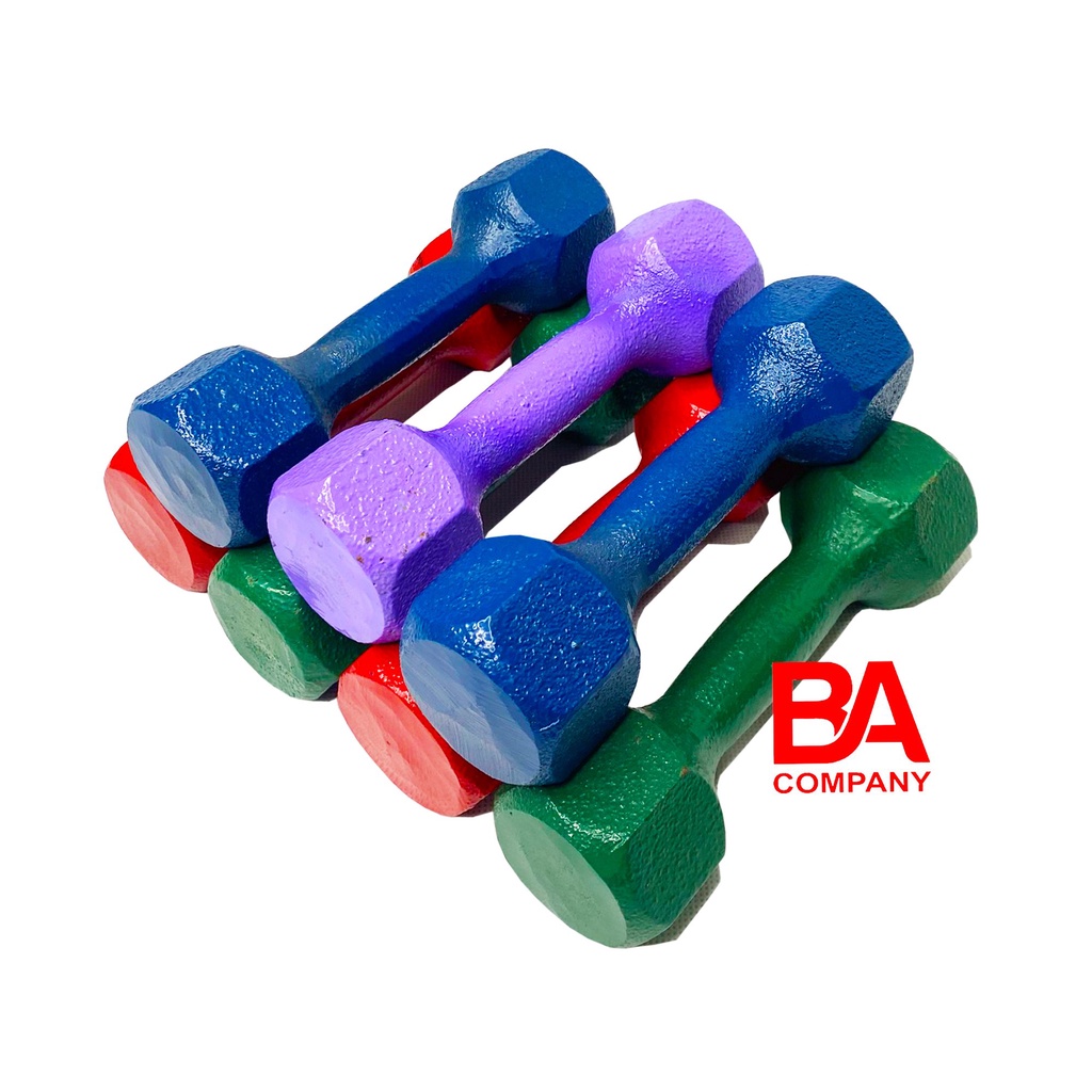 Bộ 2 tạ tay 2kg gang đúc nguyên khối, tạ tập gym yoga, dụng cụ thể thao binhansports