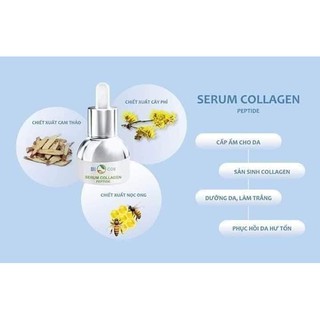 Serum Collagen