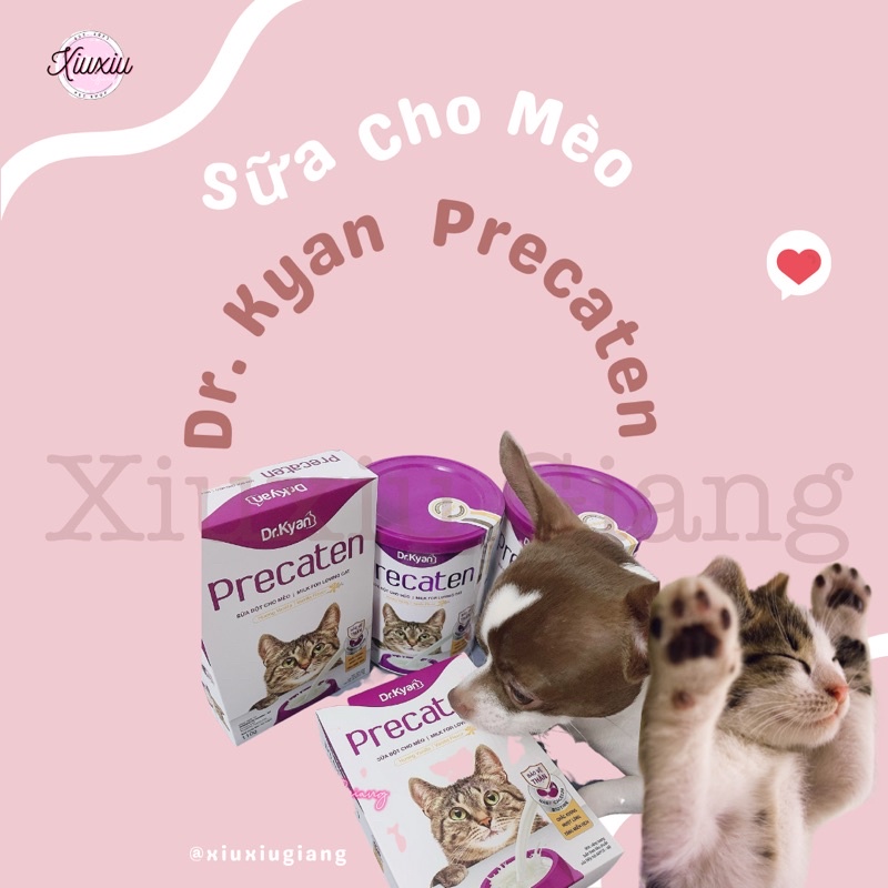 Sữa Bột Cao Cấp Cho Mèo Dr.Kyan [Precaten] - Xiuxiu Giang