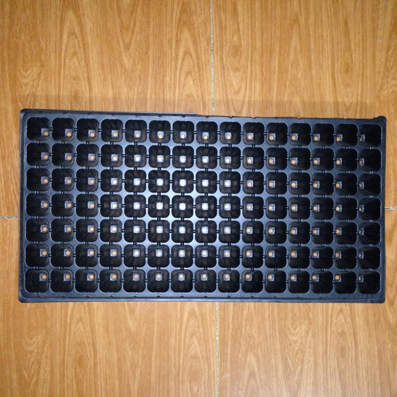 Hộp 150 khay ươm cây (Dày 1mm, nặng 120g), khay ươm hạt, vỉ ươm rau (105 lỗ)