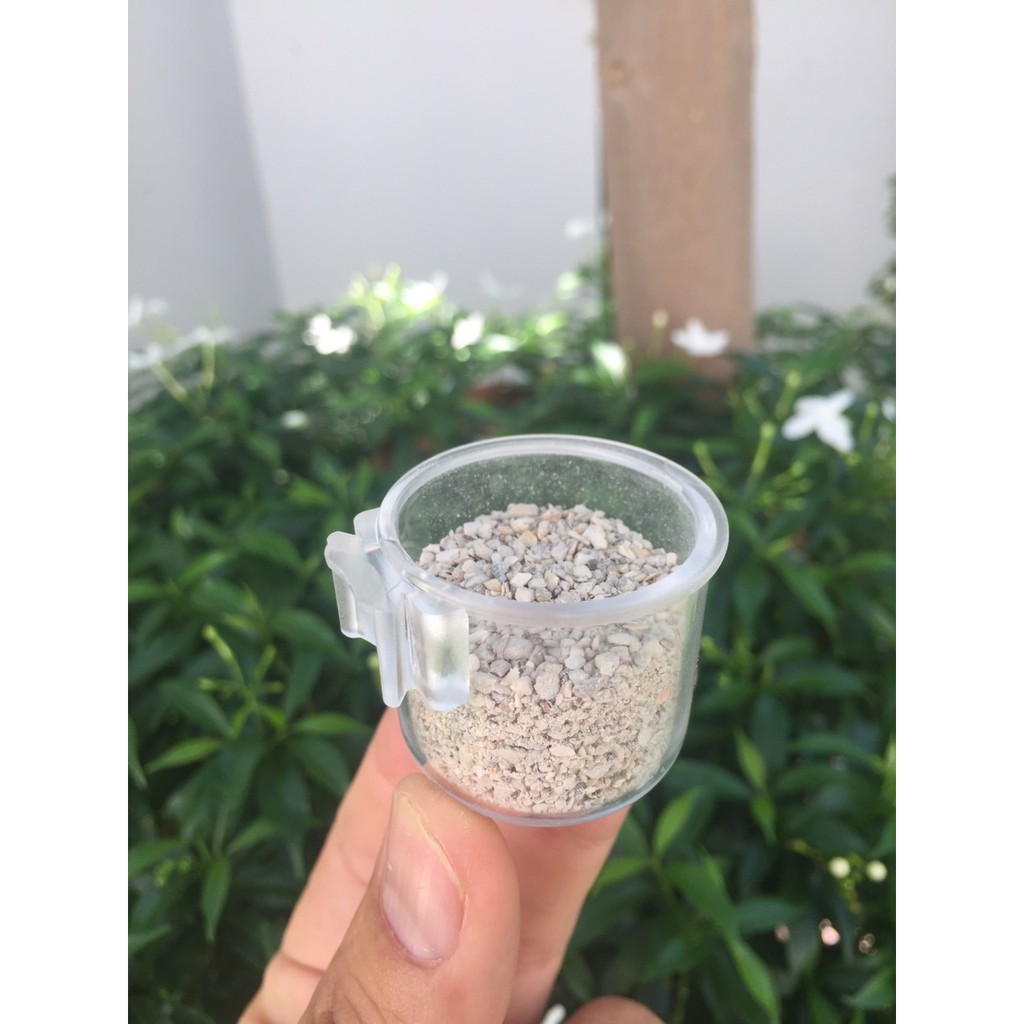 Cóng đựng khoáng cho chim hàng nhập Ý