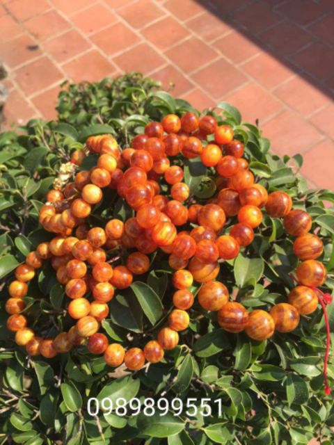 VÒNG HUYẾT LONG 12LY