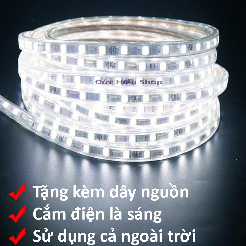 Đèn LED dây 5050 10m