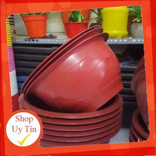 Bán Sỉ, lẻ (siêu rẻ) Chậu nhựa trồng cây T58cm - Shop Chậu Cảnh chất đẹp.