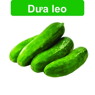 [Chỉ Giao HCM] Dưa leo Đà Lạt 500g - Mrcarot
