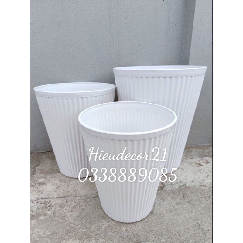 Chậu GÂN SỌC DỌC ĐỨC MINH hàng dày đẹp, đủ size, ảnh thật và hàng có sẵn kho