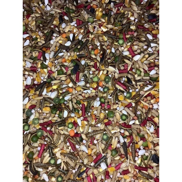 Ngũ Cốc Gà loại Víp Có Sâu Gạo Và Sâu Can xi 25k 1kg