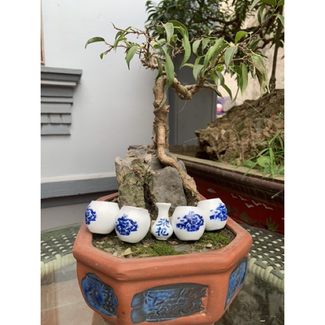 Cóng cho chim ăn Halosung cóng sứ chim khuyên phụ kiện lồng chim PK39
