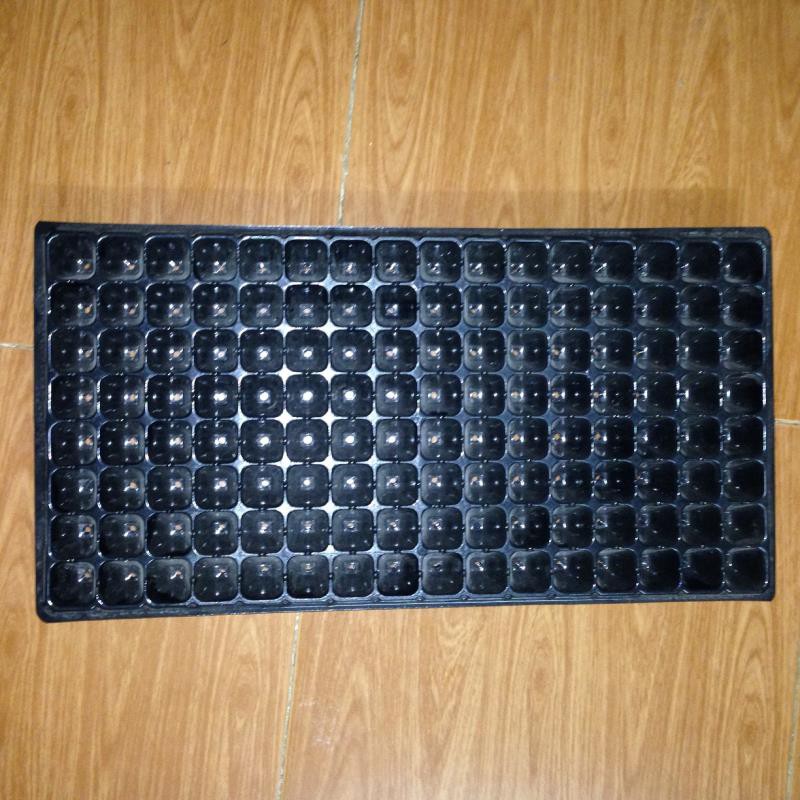 Hộp 150 khay ươm cây (Dày 1mm, nặng 120g), khay ươm hạt, vỉ ươm rau (128 lỗ)