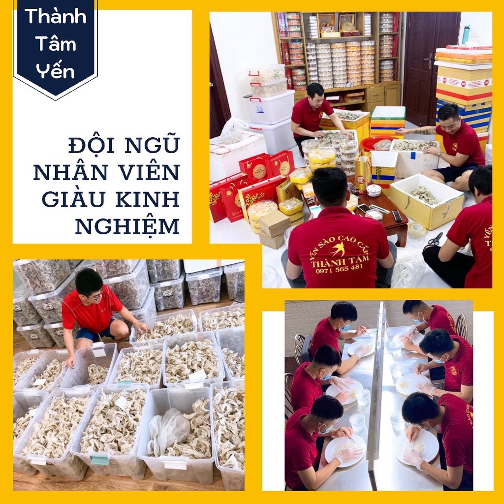 Tổ Yến Sào Thô Nguyên Tổ Nguyên Chất - Thành Tâm Yến - Tổ Yến Sào Khánh Hòa Chính Hãng - Tặng Set Đồ Chưng
