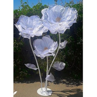 cây hoa vải Voan trang trí Studio,cửa hàng......