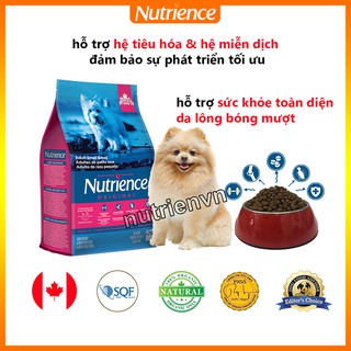 Thức Ăn Cho Chó Phốc - Nutrience Original Bao 2,5kg - Thịt Gà, Rau Củ & Trái Cây Tự Nhiên