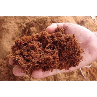 Giá thể trồng mẫu đơn - lan quân tử - càng cua ...