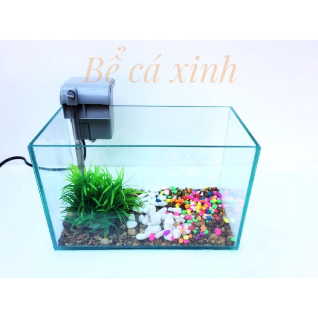 Bể cá mini và lọc thác treo size 30cm [Tặng kèm phụ kiện và đồ ăn cá]