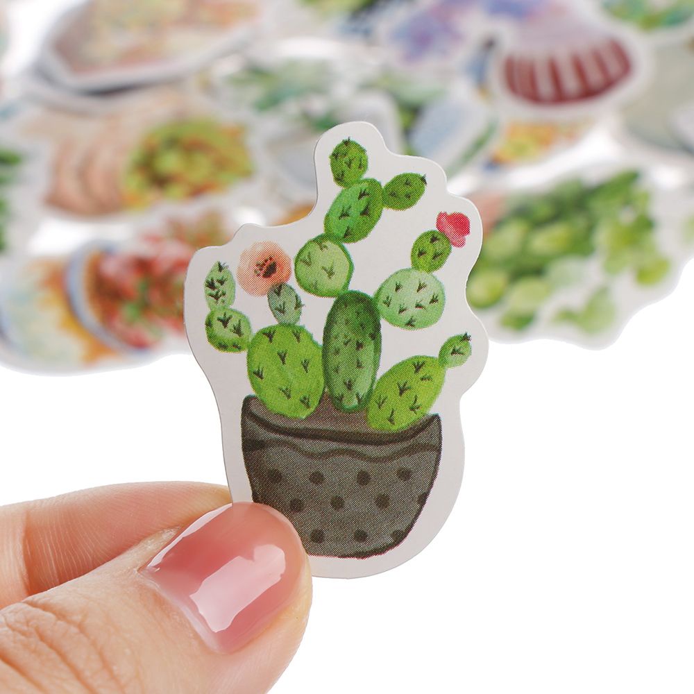 Hộp 50 miếng dán trang trí hình cây mọng nước hoạt hình đáng yêu