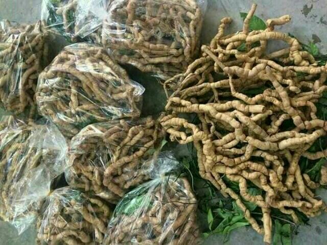 Combo 5kg ba kích tím Quảng Ninh