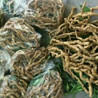 Ba kích tím Quảng Ninh 5kg hàng a1