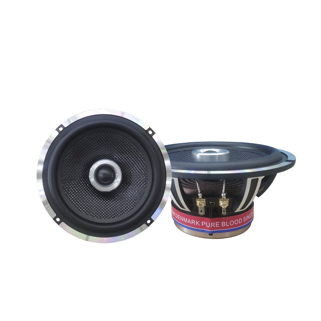 Bộ 2 loa cánh cửa đồng trục DT-650C 6inch hai đường tiếng dòng siêu cấp của Danty Denmark