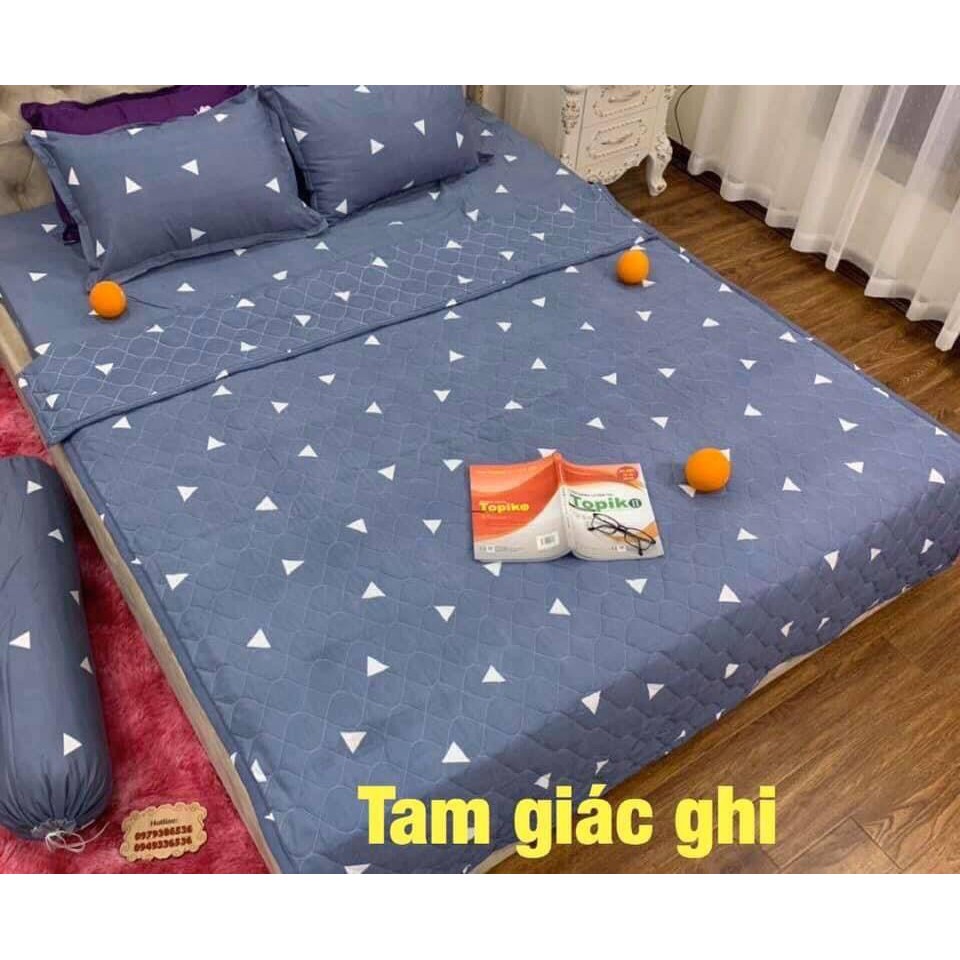 Xả Kho Bộ Ga Gối  FREESHIP  Bộ 1 ga + 2 vỏ gối cotton poly giới trẻ - set 3 món