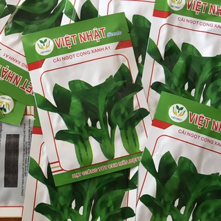 Hạt giống cải ngọt cọng xanh A1 Việt Nhật Seeds gói 20g