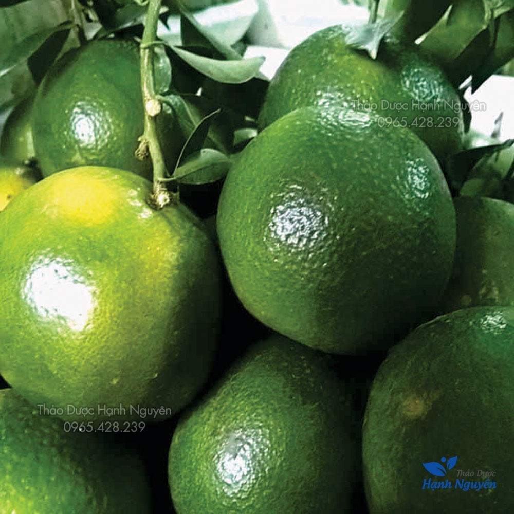 Thanh bì 1kg (Vỏ quýt xanh khô)