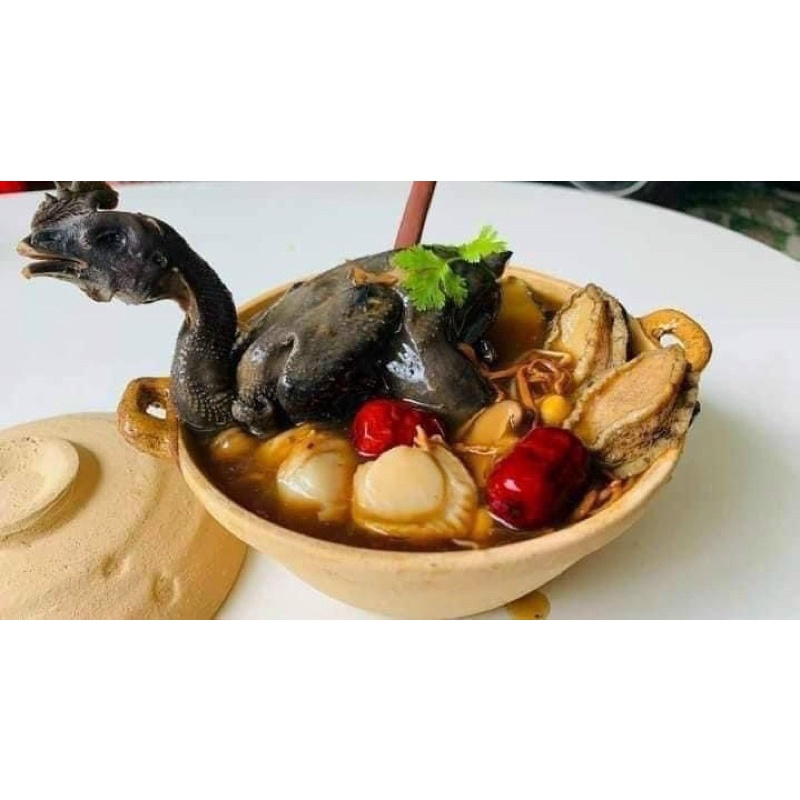 SET SƠN HÀO HẢI VỊ