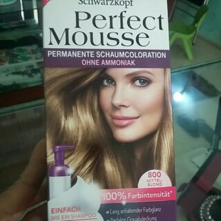 Thuốc nhuộm tóc dạng bọt Perfect Mousse