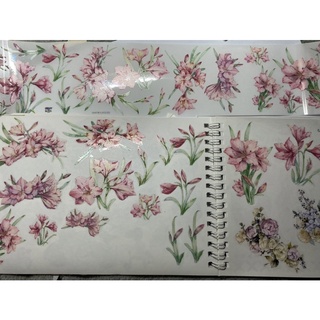 Washi hoa chiết chu kì