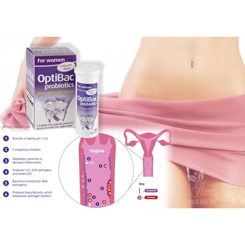 Men vi sinh Optibac tím Optibac for women hàng chính hãng UK hộp 30 viên