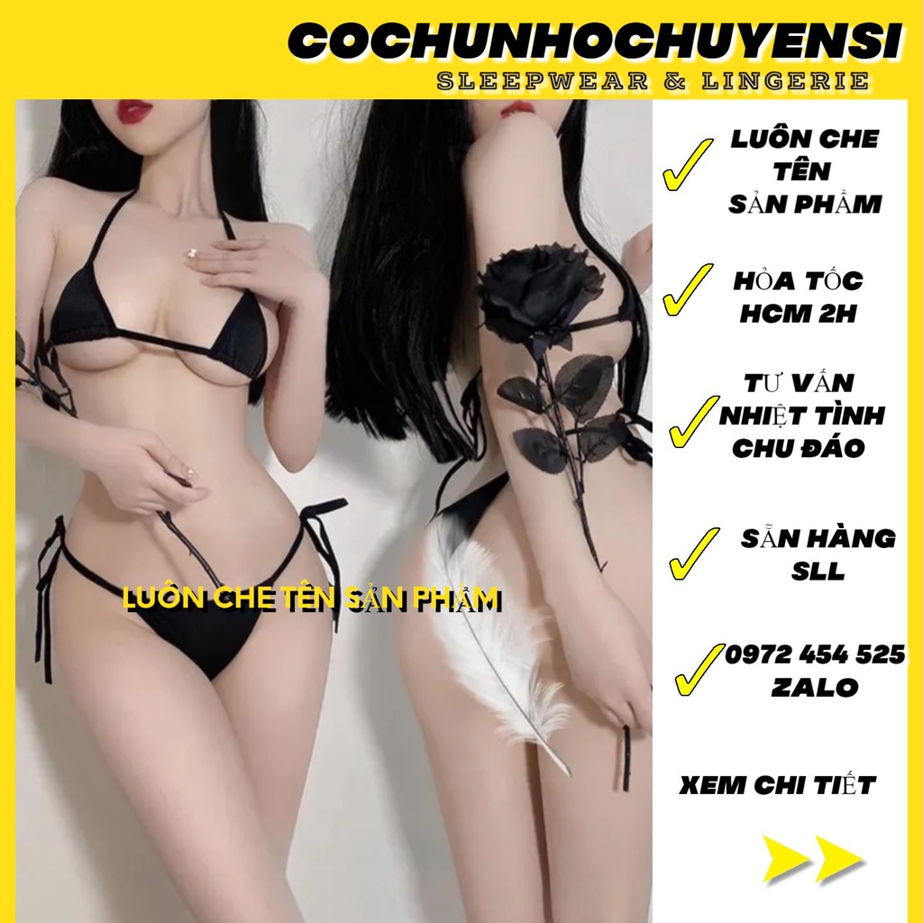 SẴN HÀNG HCM - BK029 -Bộ Đồ Lót Nữ Sexy -  Đồ Lót Gồm Áo Ngực Ren Sexy Và Quần Lót Lọt Khe -cochunhochuyensi