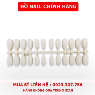 Móng Mẫu Vỉ Tập Vẽ, Tập Sơn , Móng Mẫu Thanh 240 Móng Phom Bầu
