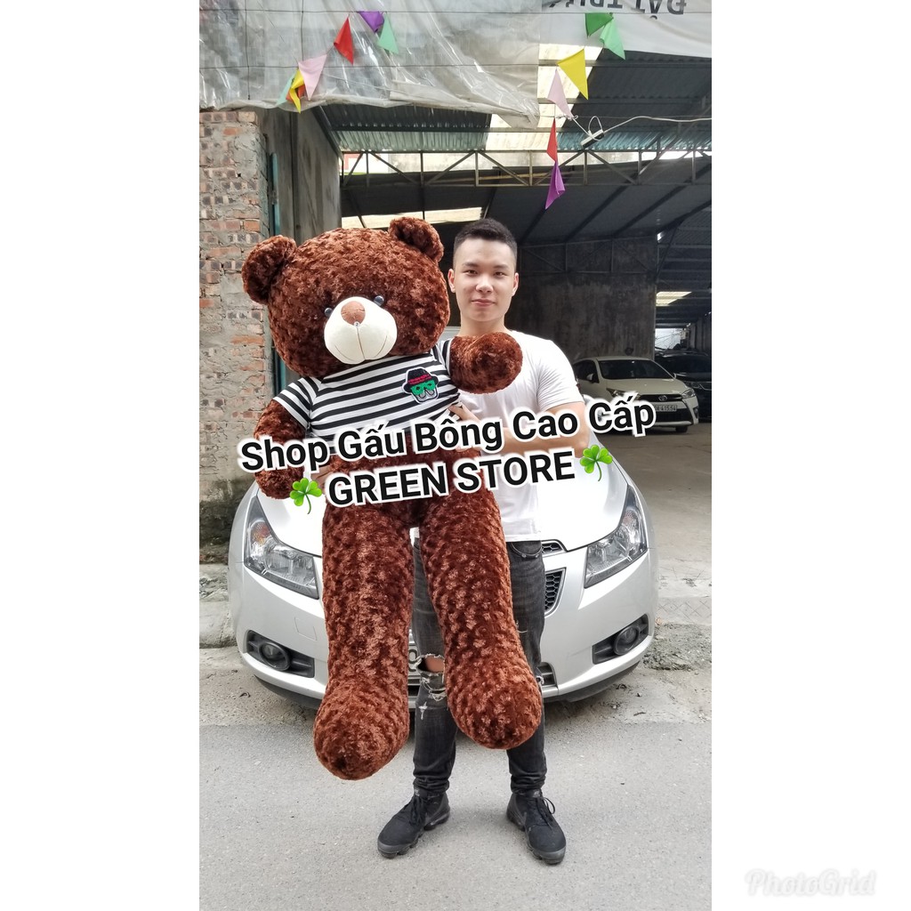 (Ảnh Thật 100%)-Gấu bông teddy 1m6 khổ vải - cao 1m4 Rẻ Vô Địch