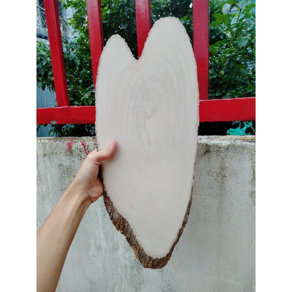 Lát gỗ Decor trang trí dài 44-48cm.