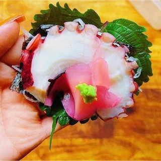 Râu Tuộc khổng lồ 1kg