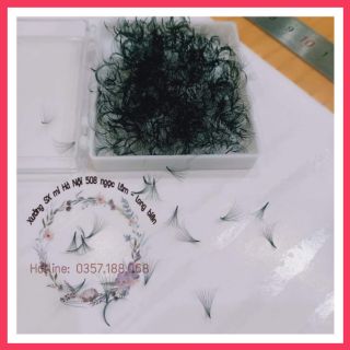 Mi fan 7D ( hộp 500 fan) đen, mềm, đẹp giá yêu thương